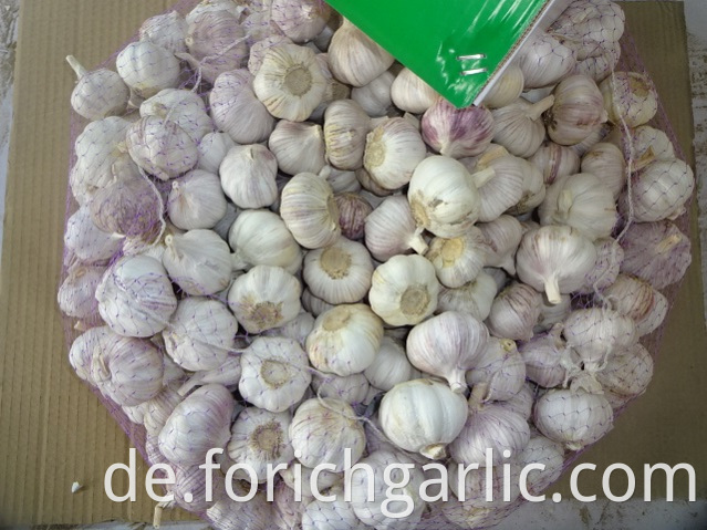 Size 5 0 Normal White Garlic Crop 2019